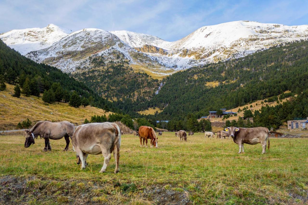 Apartment R Valle De Incles-grandvalira Free Parking *
